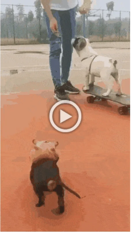 Просто гифки