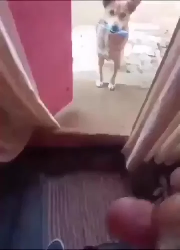 Я знаю, что такое бартер, человек