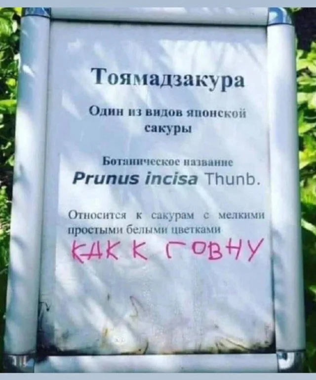 Мемы для тех кто постарше