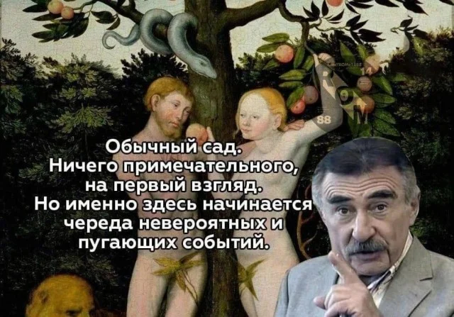Не очень адекватный юмор
