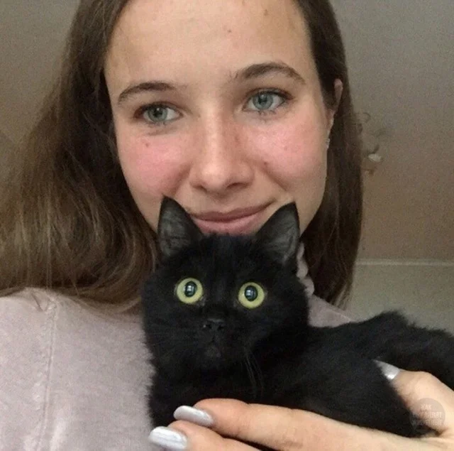 Коты, нашедшие свой дом: трогательная подборка