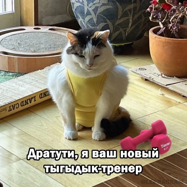 Так себе картинки