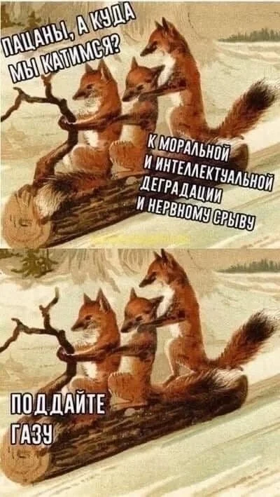 Накро-картинки