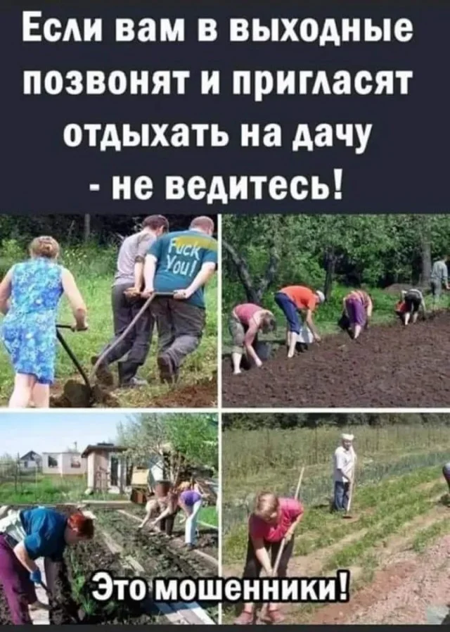 Баяны