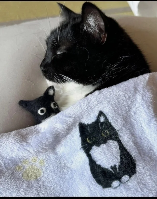 Вот тебе на