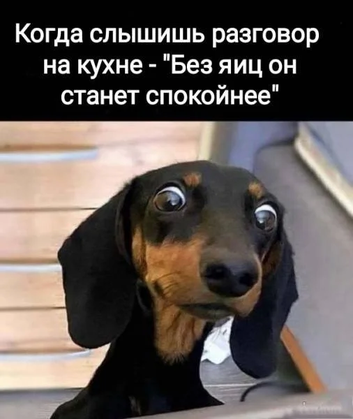 Юмор в картинках и без