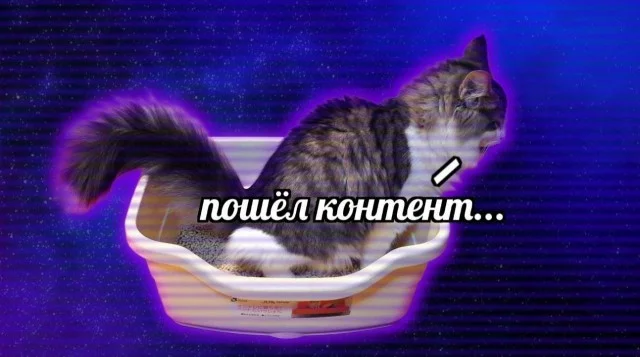 Никакие картинки