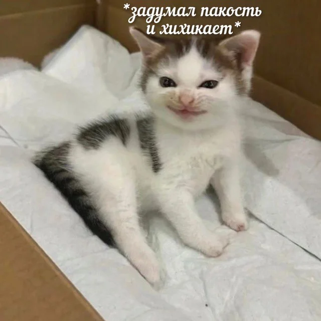 Взрослые и немного смешные мемы