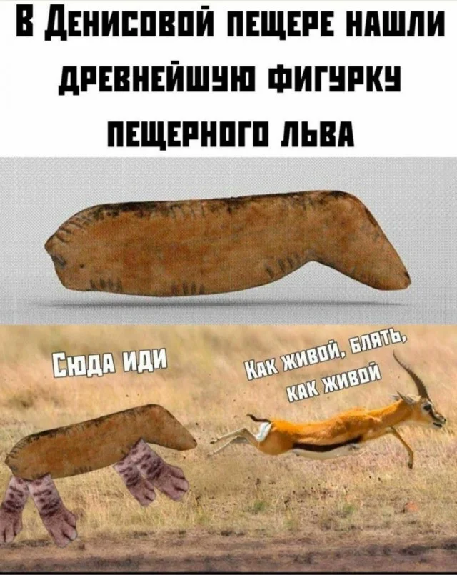 Взрослые и немного смешные мемы