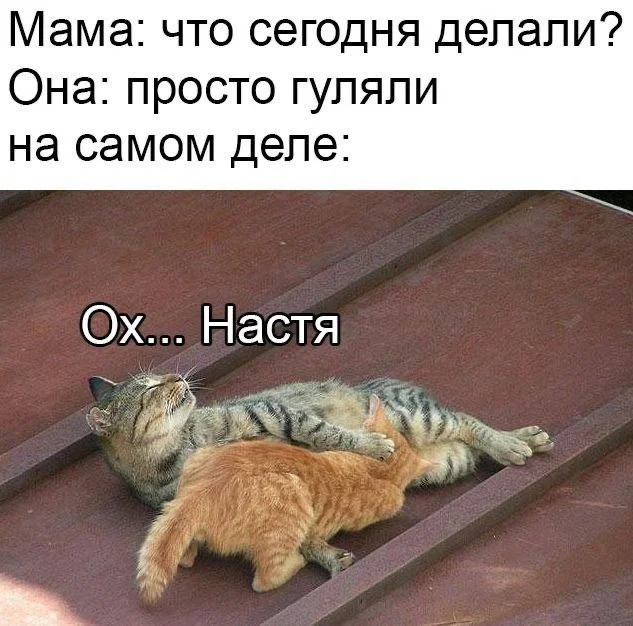 Нестандартный юмор #28