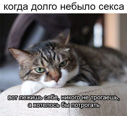 Нестандартный юмор #46