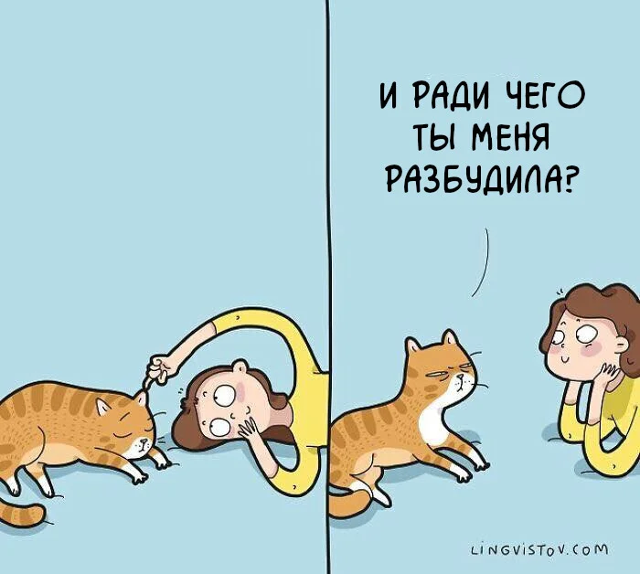 Жизнь с котом⁠⁠