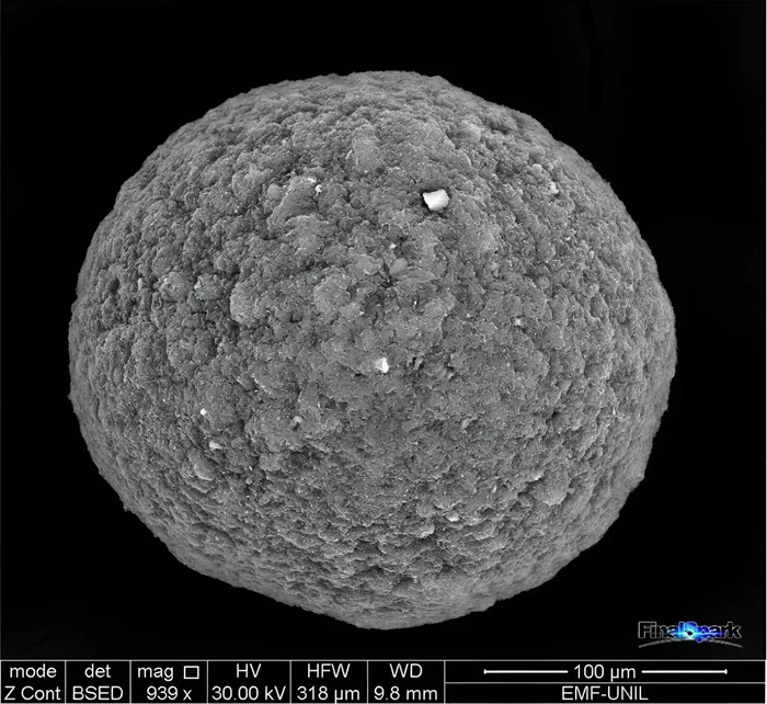 Биоинженерия будущего: создание живых биокомпьютеров из клеток мозга