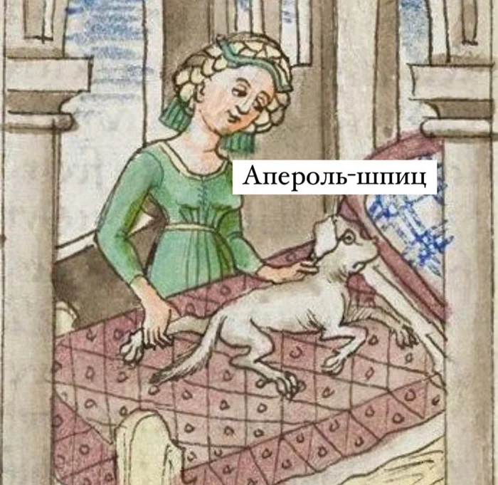 Что это за собакен?