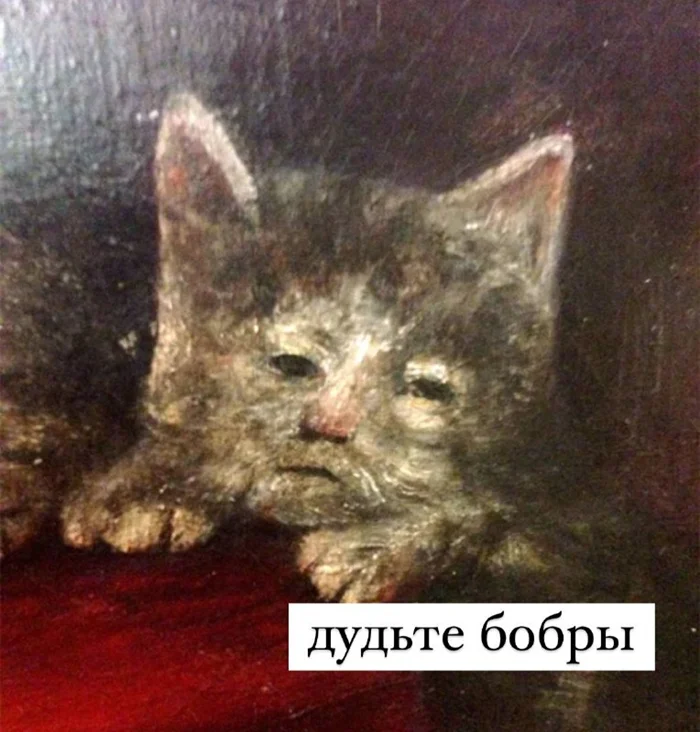 Силе фельди