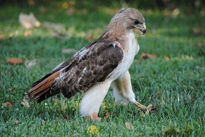 Самые странные моменты, зафиксированные камерами: истории операторов видеонаблюдения