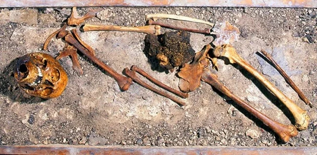 Малиновая девушка