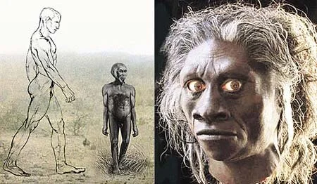 Почему эволюция на островах ускоряется: хоббиты, гигантские крысы и карликовые слоны