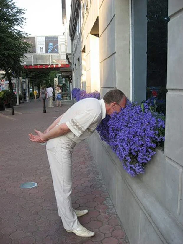 Запахи, вызывающие привязанность и влияющие на решения: Тайны обоняния