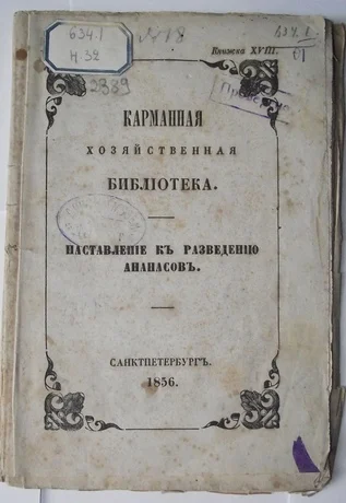 Неожиданная сторона России: родина ананасов