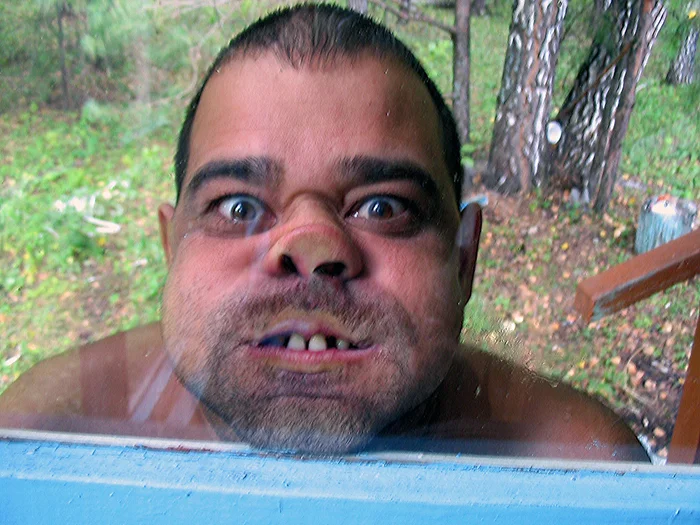 10 удивительных примеров «живых ископаемых» — существ, неизменных миллионы лет