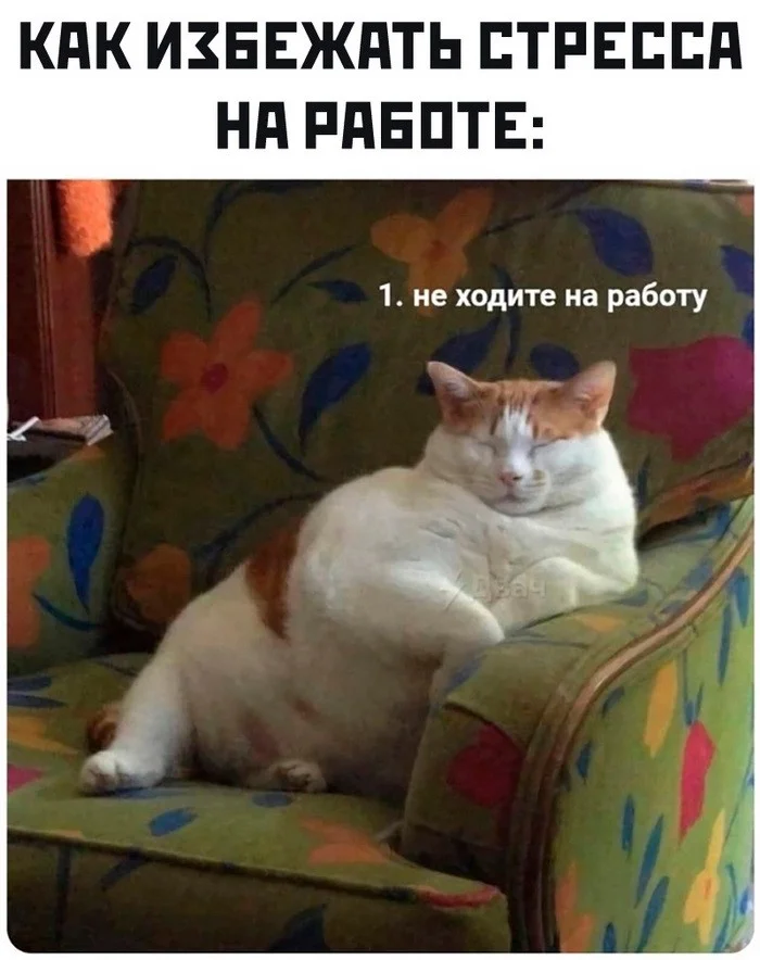 Скрины из соцсетей