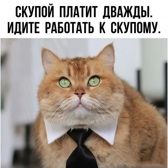 Свежие скрины из соцсетей