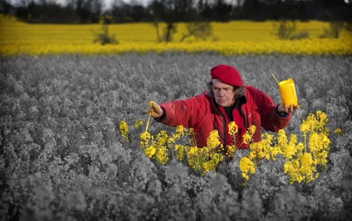 Всё вразнобой