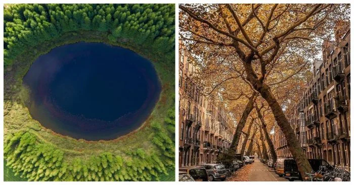 Фотографии, которые понравятся любопытным: подборка из 13 снимков