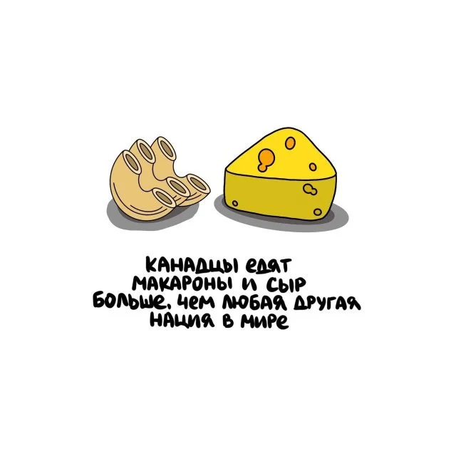 Любопытные факты для любого случая