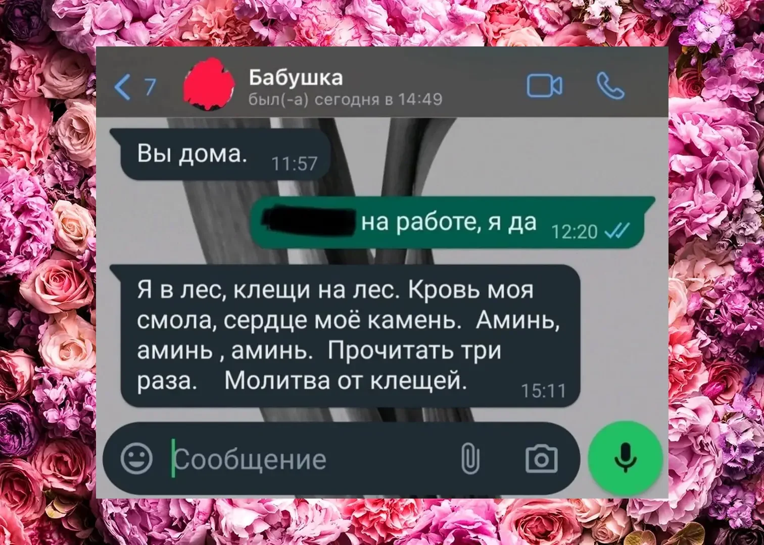 Смешные СМС от родных: от молитвы от клещей до весёлых моментов