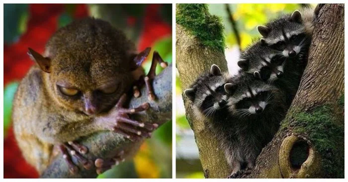 Чего-то удумали