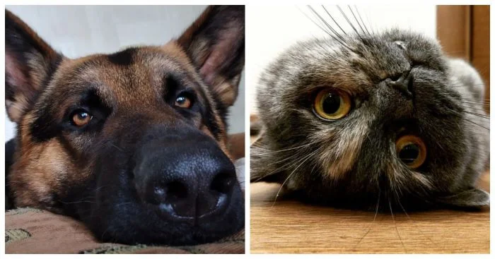 Я обдумываю свою идею