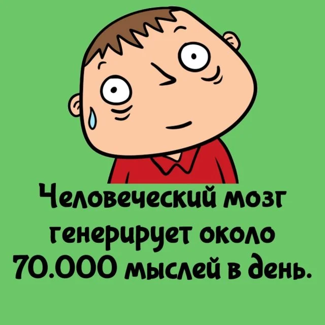 Занимательные факты на все случаи жизни