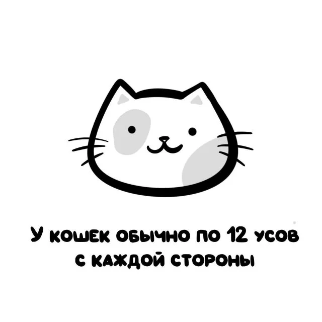 Интересности и прочие факты