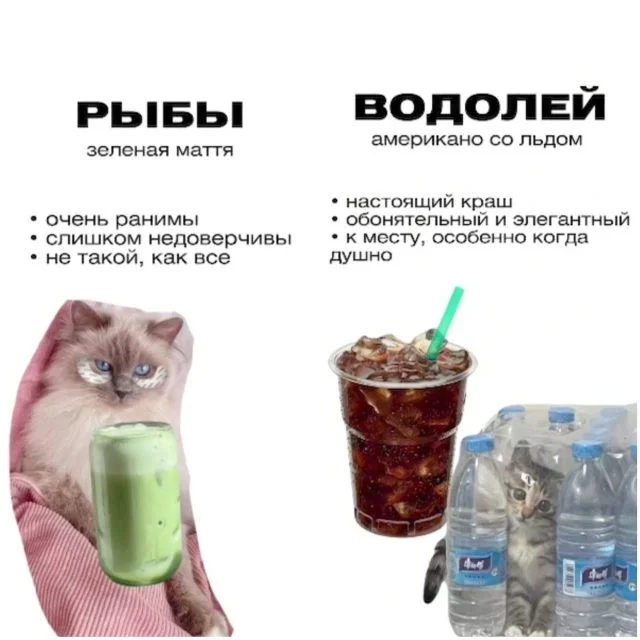 Астрологи соцсетей определили, какой кофе идеален для каждого знака зодиака