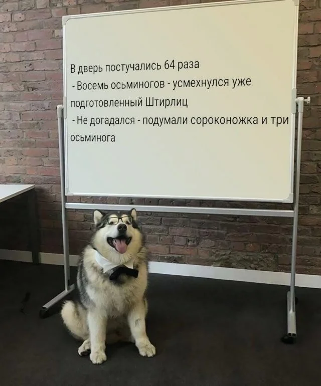 Скрины из соцсетей