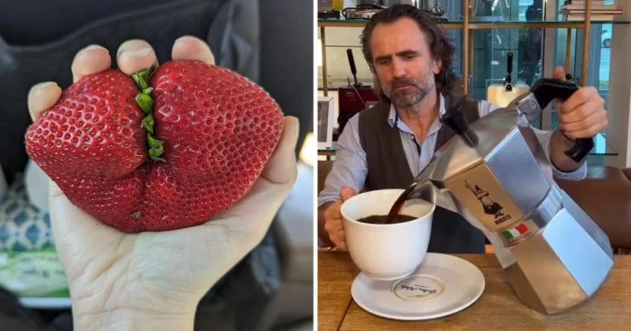 14 обычных предметов, ставших редкими из-за необычного размера