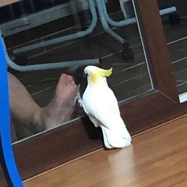 Всё вразнобой