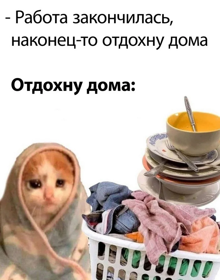 Скрины из соцсетей