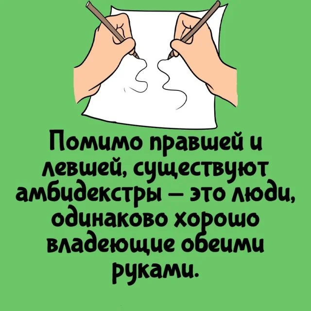 Увлекательные факты