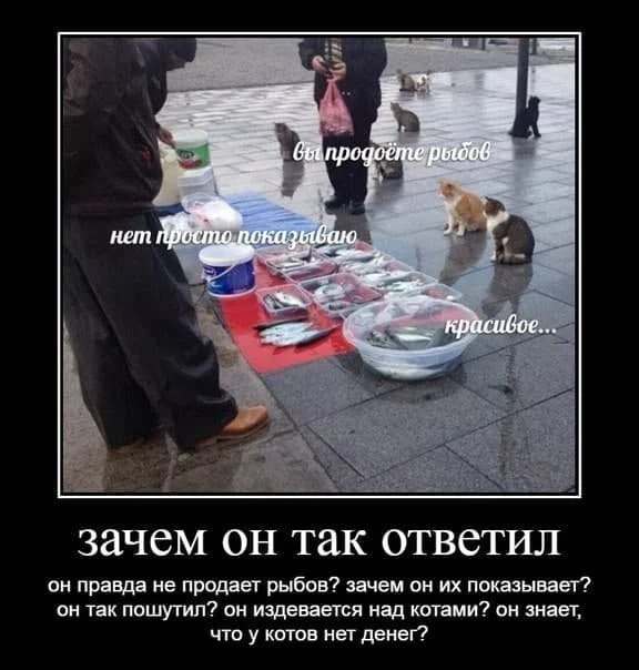 Демотиваторы