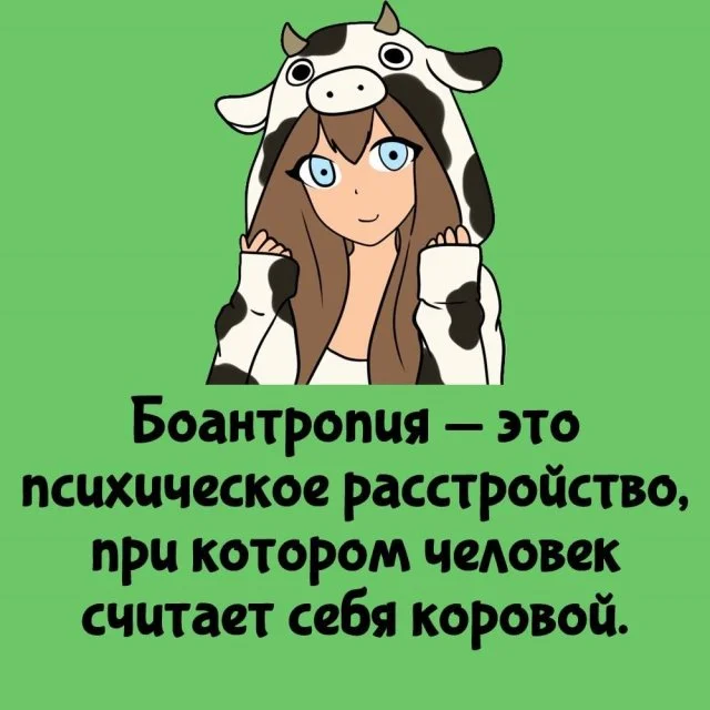 Занимательные факты