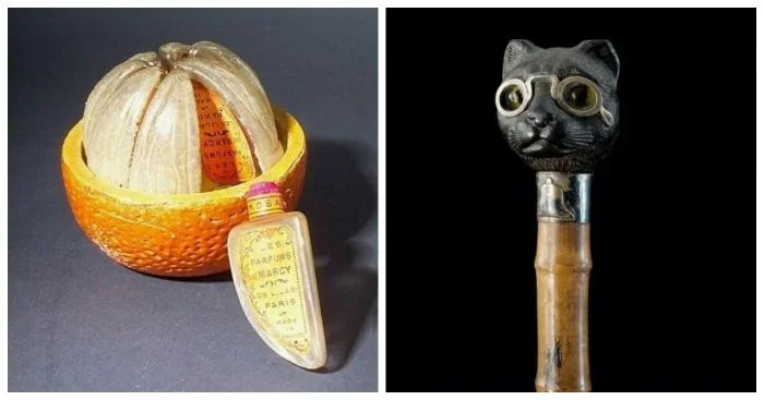 Интересные и пугающие находки: 25 экспонатов из музея диковинок