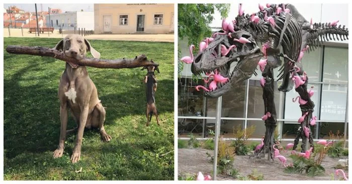 25 фотографий, которые вызывают искренний восторг