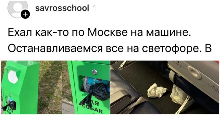 Примеры возмутительного поведения людей, которые могли бы запросто захрюкать