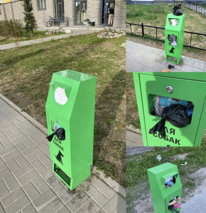 Примеры возмутительного поведения людей, которые могли бы запросто захрюкать