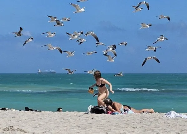 Всё вразнобой