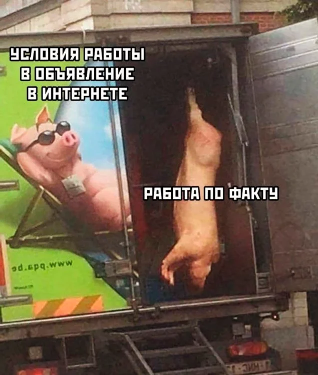 Лучшие скриншоты из соцсетей