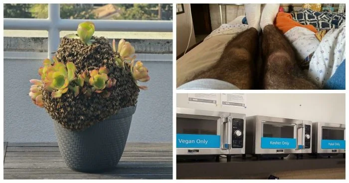 20 впечатляющих фотографий из серии «Удивительное рядом»